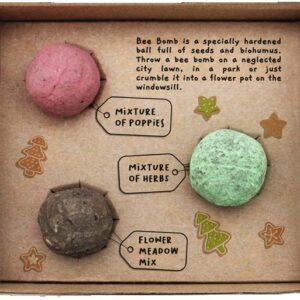 Coffret de bombes à graines – Microcosmos — Sachets de graines et cadeaux à semer